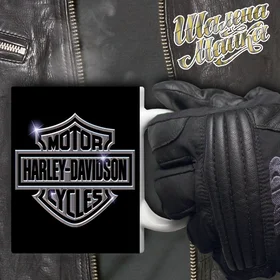 Прикольные кружки: Чашка Мото 052